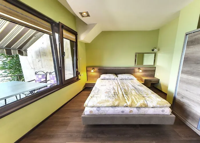 Continental 2* Kiten